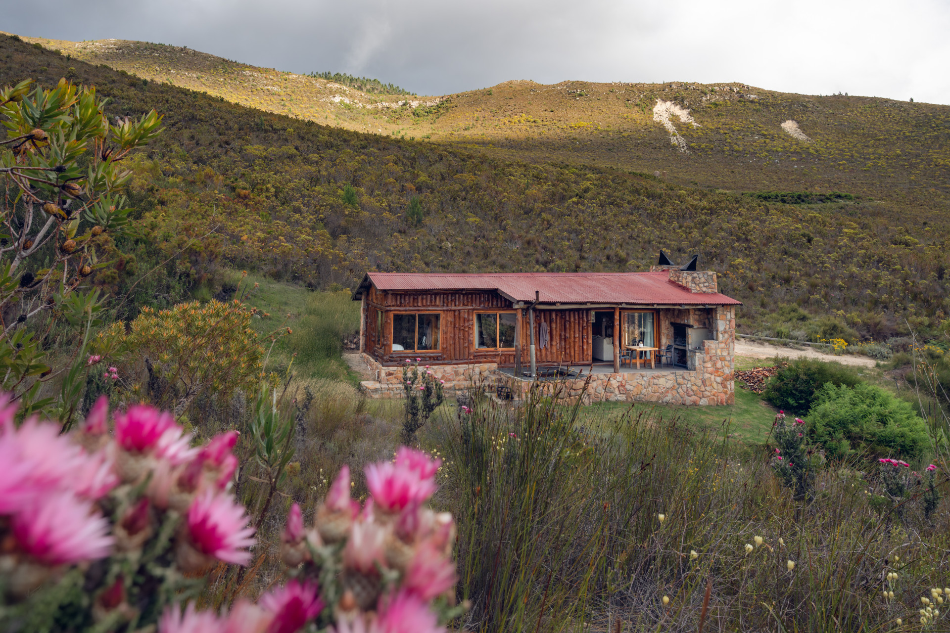 241126_DSC09352_fs-1