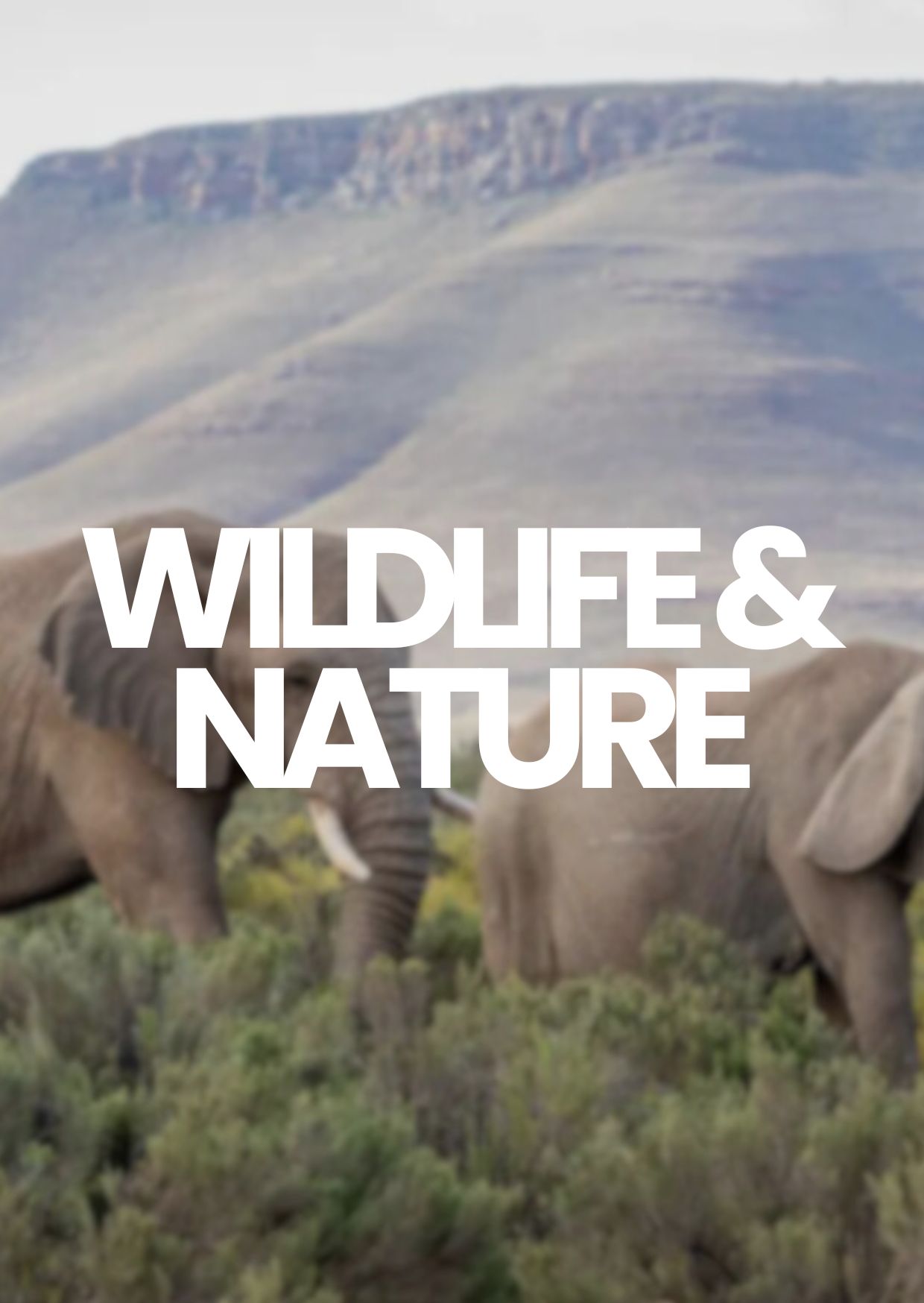 Copy of North West province