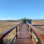 Feature-Rondevlei-Nature-Reserve