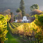 VW0002-Website-FA_MEDIA-GALLERY_Constantia-Wine-Route-01