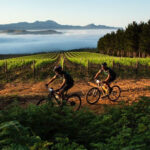 mountain-biking-trails