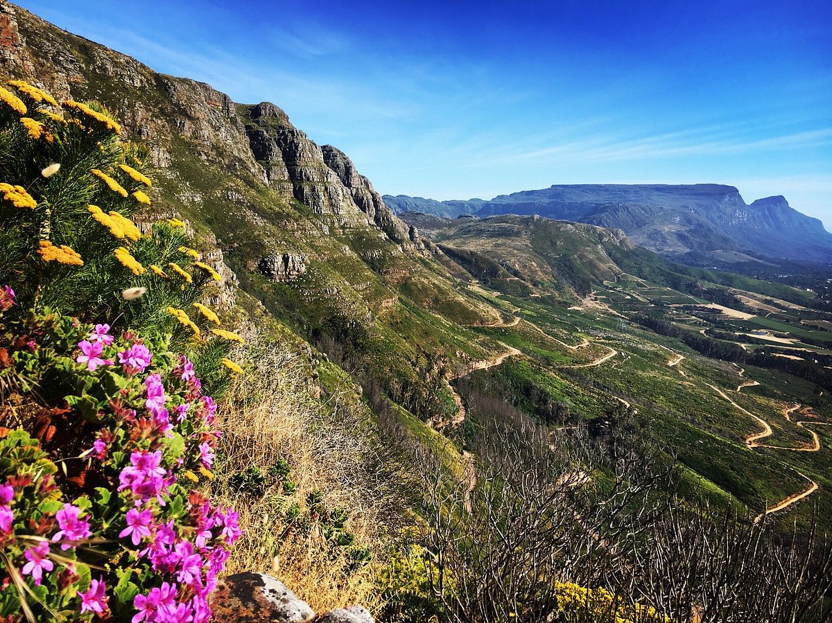 out-and-about-at-silvermine