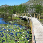 silverminereservoirwalk