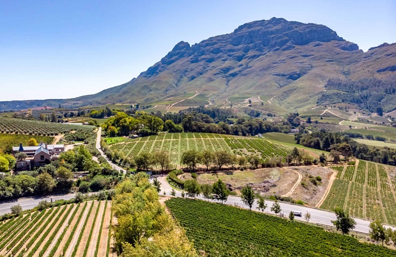 stellenbosch