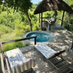 Londolozi Tree Camp Accommodation Img 8762