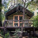 Ndzhaka Camp Manyeleti